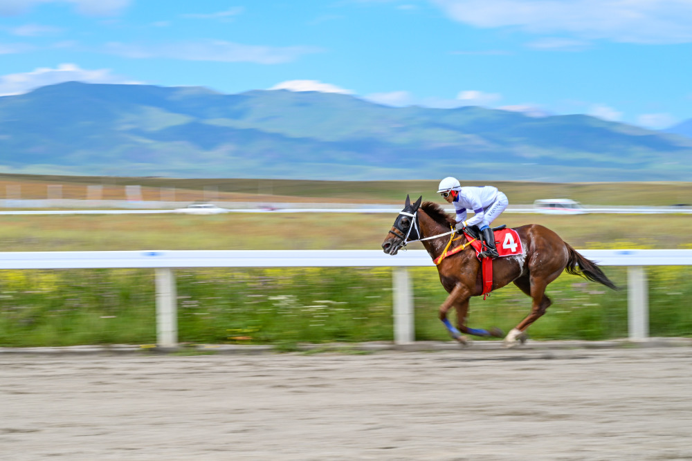 九游体育网页版入口-甘肃赛马取得反弹胜利，西宁阿尔萨达遇到困境的简单介绍