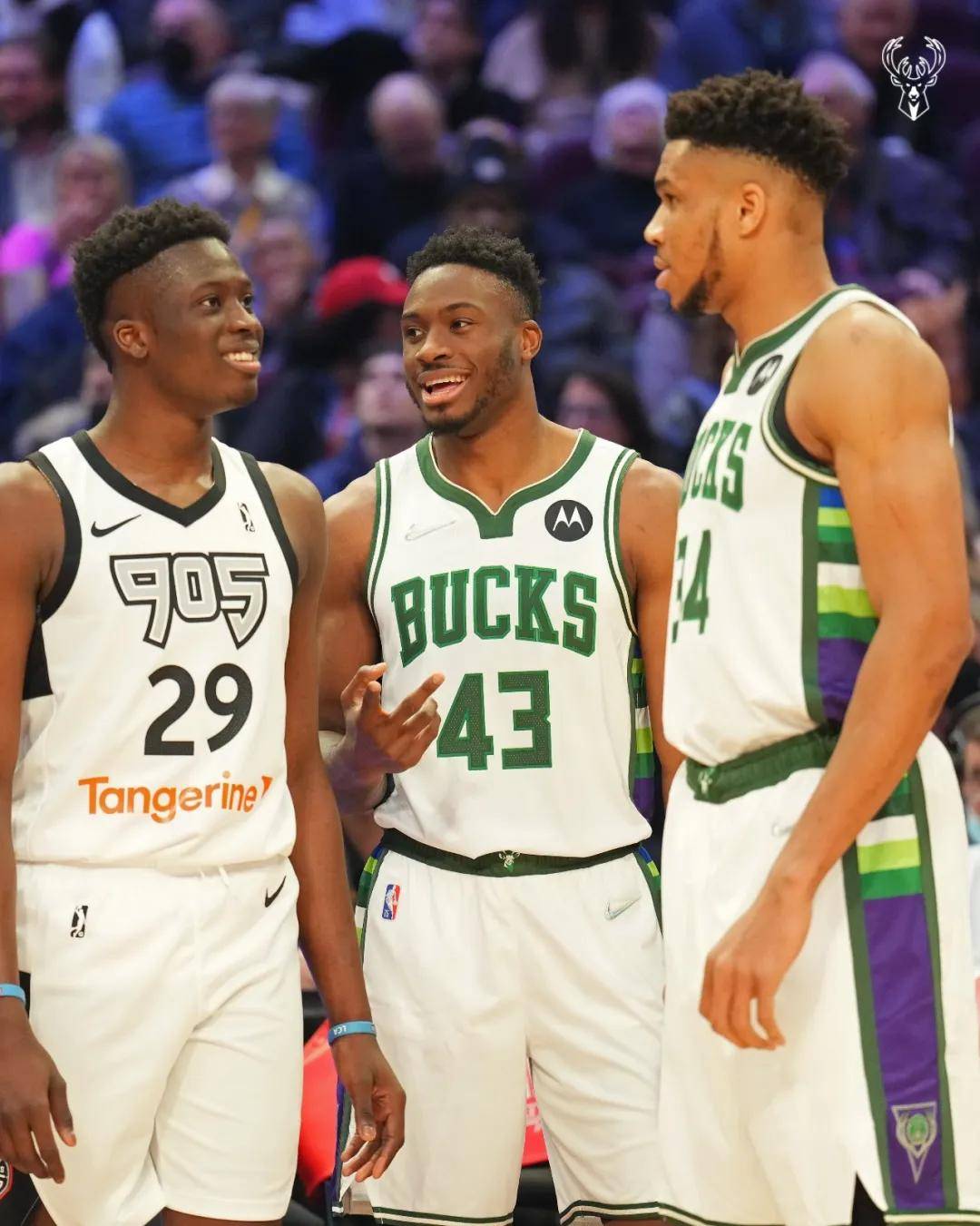 九游体育在线-包含雄鹿客场击败灰熊，字母哥全场最佳砍下分率领球队获胜的词条